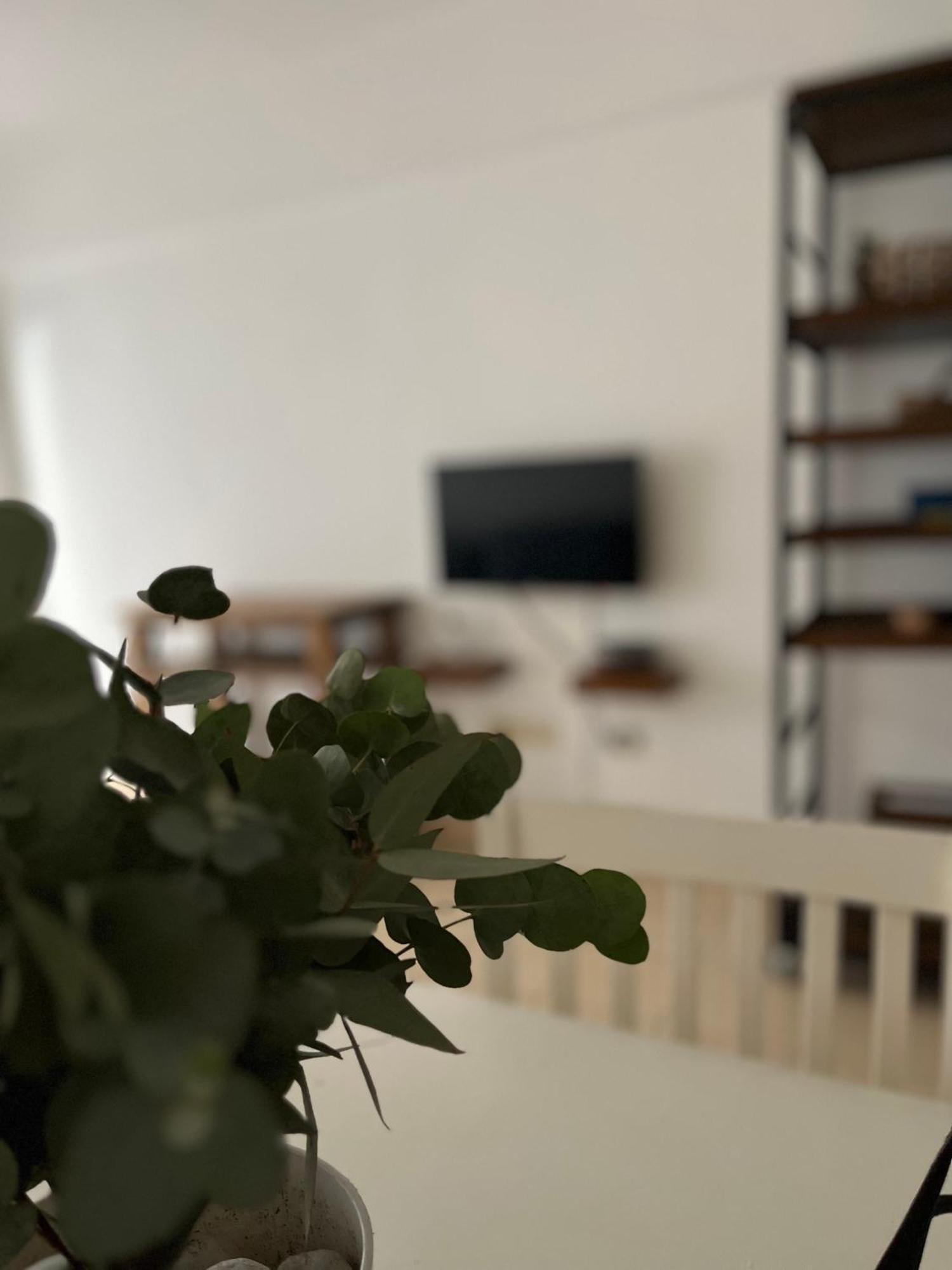 Baires Garden Διαμέρισμα Μπουένος Άιρες Εξωτερικό φωτογραφία